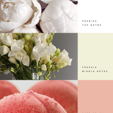 SNAP BAR — Peonies