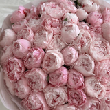 ROOM SPRAY — Peonies