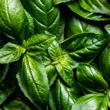 Vela THE MAX — Tomato Vines