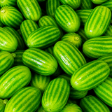 Vela THE MAX — 90s Kid