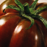 Vela THE MAX — Tomato Vines